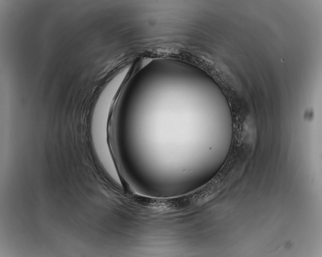 X0000098150704200805011407