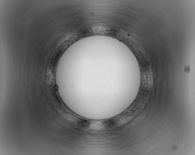 X0000098150705200805011407