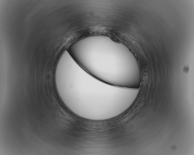X0000098150708200805011407