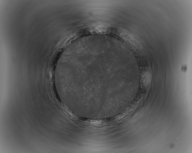 X0000098150709200805011407