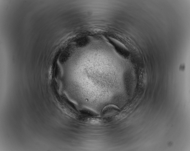 X0000098150710200805011407