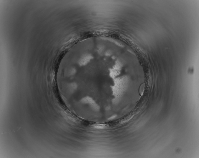 X0000098150711200805011407