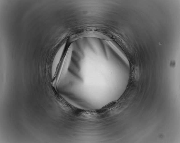 X0000098150712200805011407