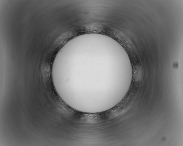 X0000098150713200805011407