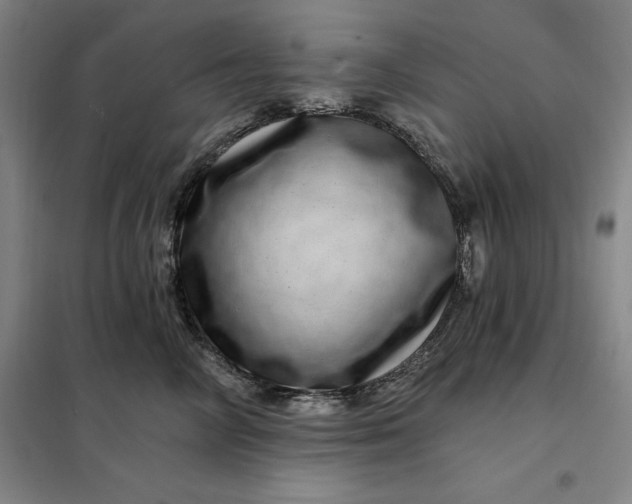 X0000098150714200805011407