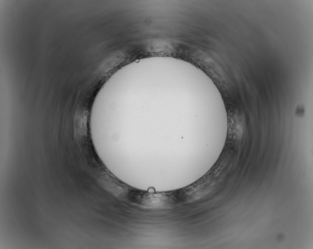 X0000098150717200805011407