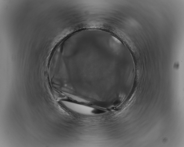 X0000098150721200805011407