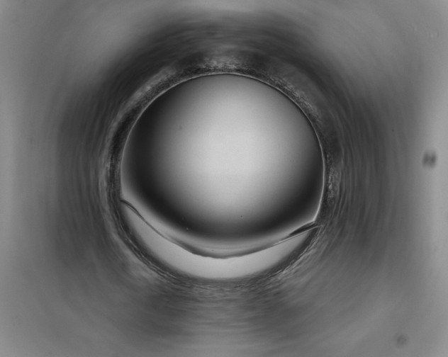 X0000098150722200805011407