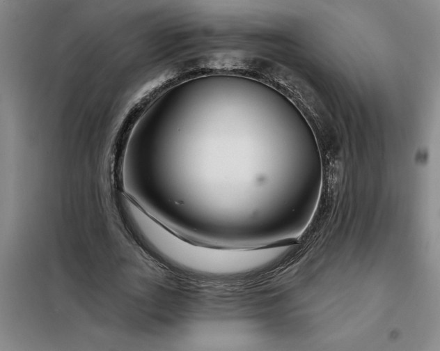 X0000098150727200805011407