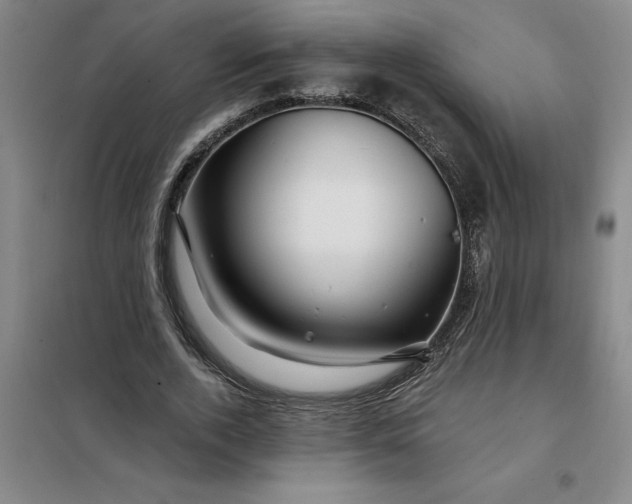 X0000098150728200805011407