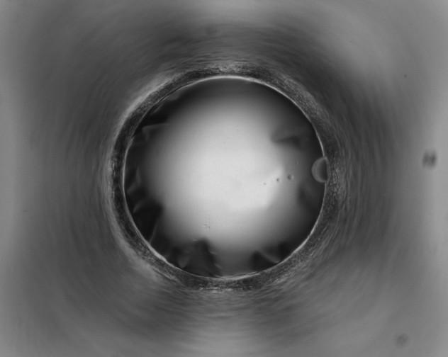 X0000098150730200805011407