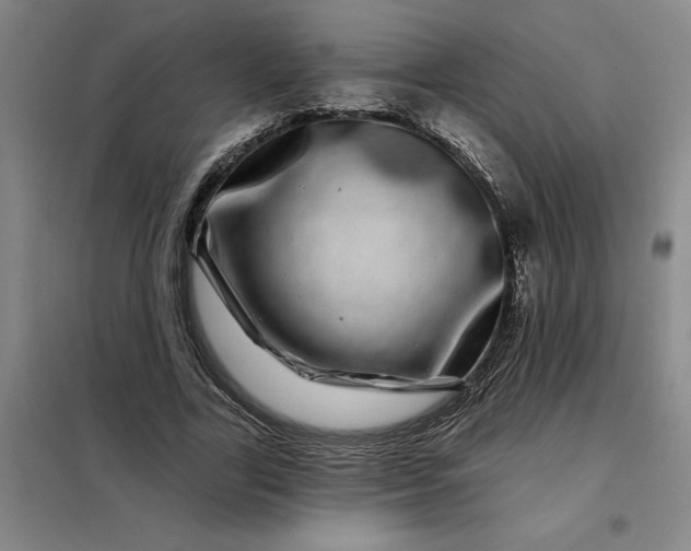 X0000098150731200805011407