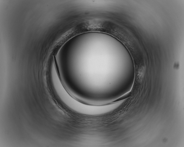 X0000098150732200805011407