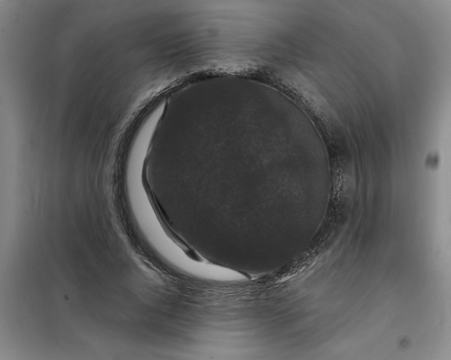 X0000098150736200805011407