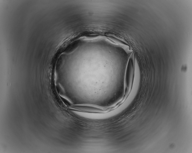 X0000098150739200805011407