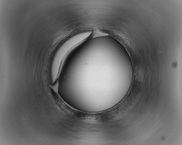 X0000098150740200805011407