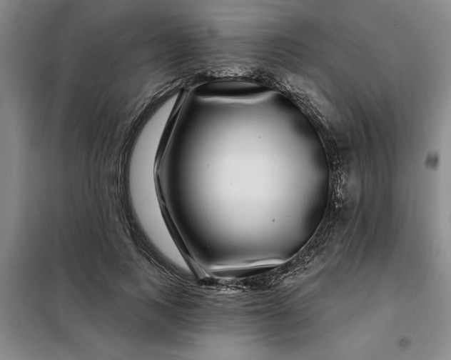 X0000098150743200805011407