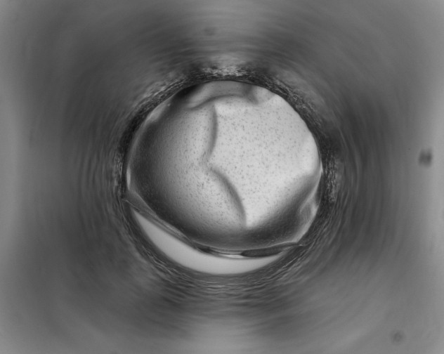 X0000098150747200805011407