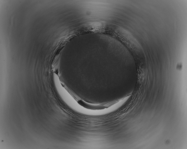 X0000098150748200805011407