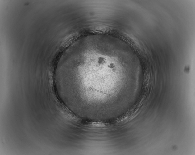 X0000098150749200805011407
