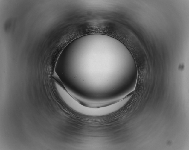 X0000098150752200805011407