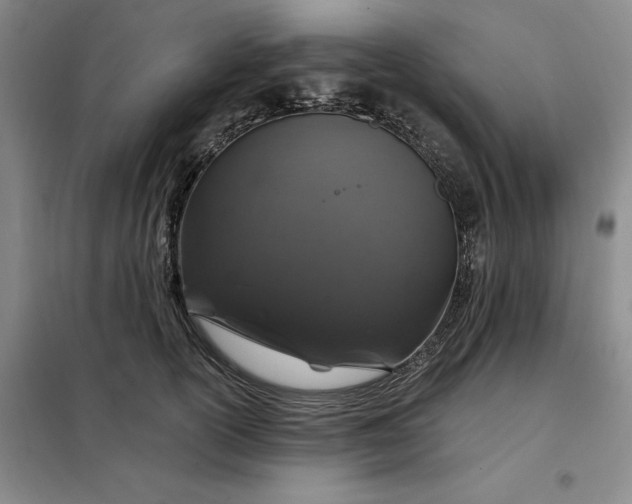 X0000098150754200805011407