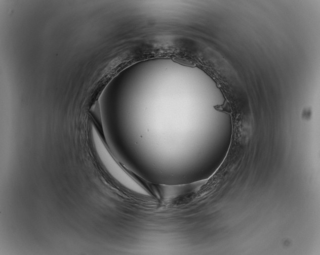 X0000098150756200805011407