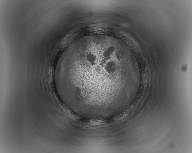 X0000098150757200805011407