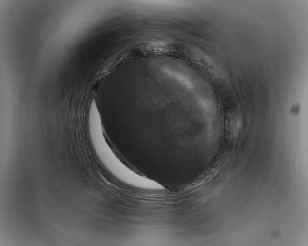 X0000098150760200805011407