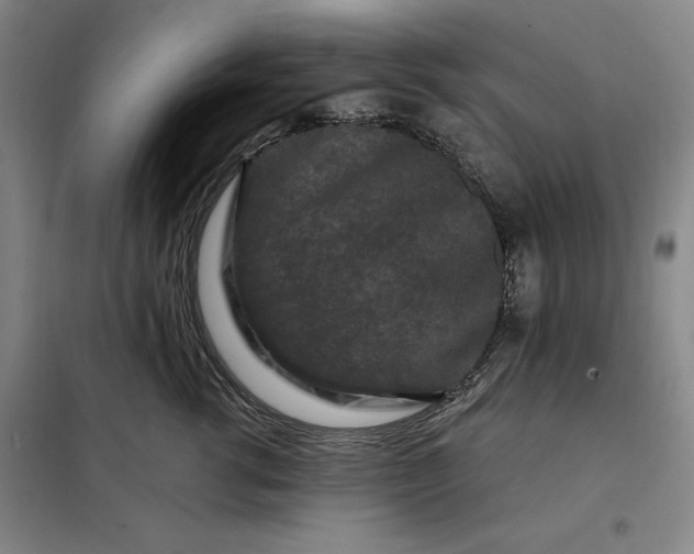 X0000098150762200805011407