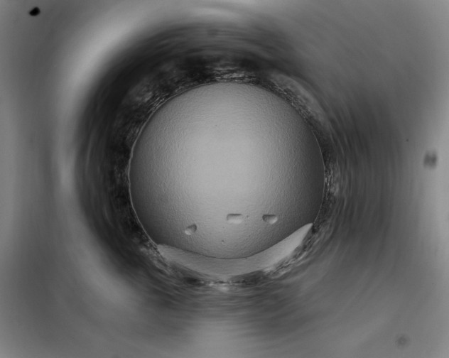 X0000098150763200805011407