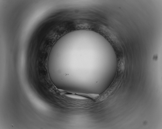 X0000098150764200805011407