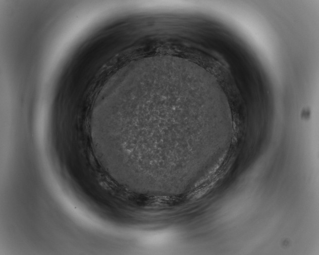 X0000098150765200805011407