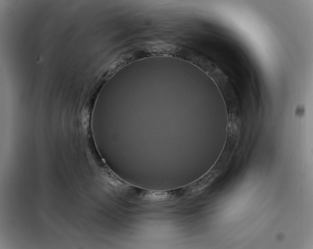 X0000098150767200805011407