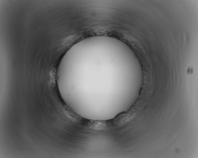 X0000098150768200805011407