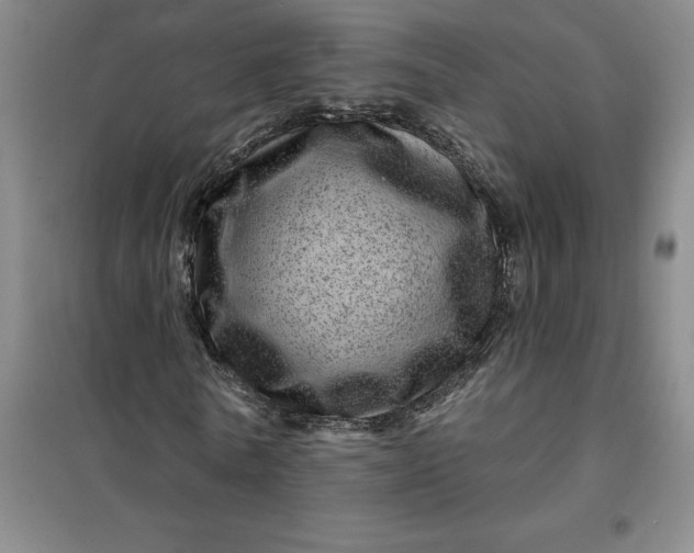 X0000098150770200805011407