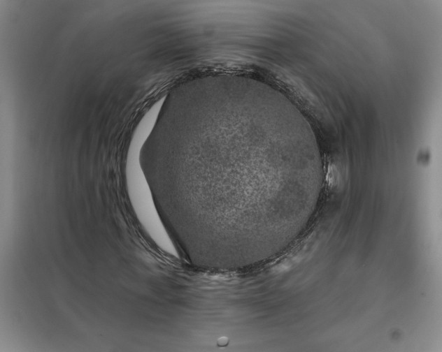 X0000098150771200805011407