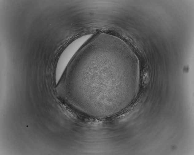 X0000098150772200805011406