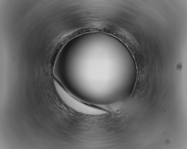 X0000098150773200805011406