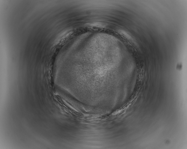 X0000098150774200805011406