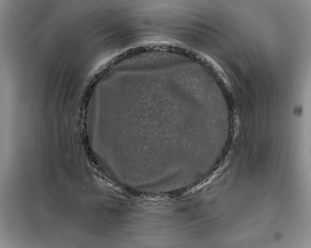 X0000098150775200805011406