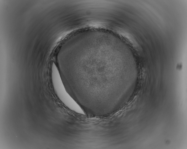 X0000098150776200805011406