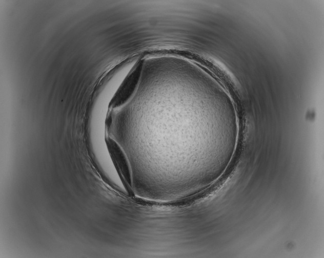 X0000098150777200805011406