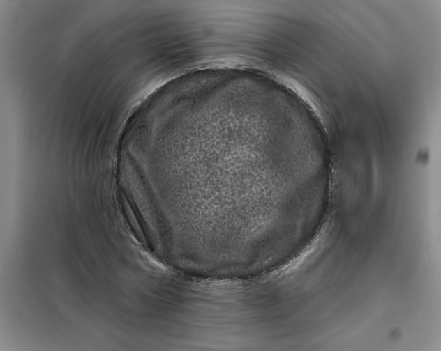 X0000098150778200805011406