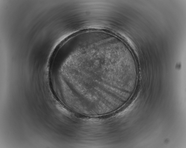 X0000098150779200805011406