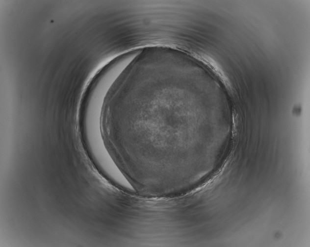 X0000098150780200805011406