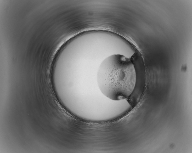X0000098150781200805011406