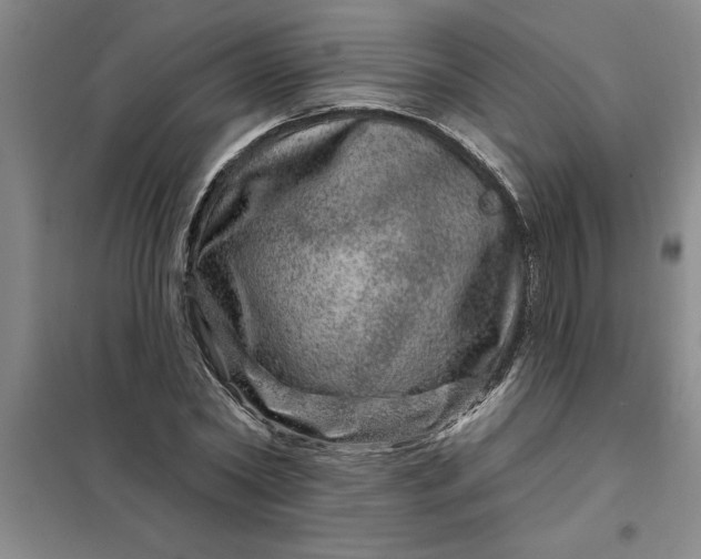 X0000098150782200805011406