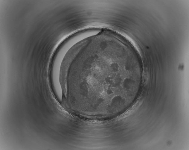 X0000098150783200805011406