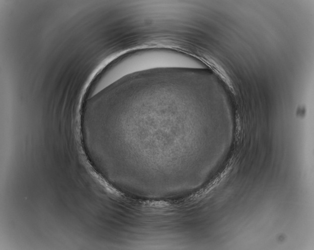 X0000098150784200805011406